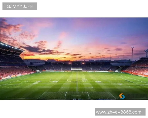 《足球星动画：少年梦想与绿茵场上的激情碰撞》