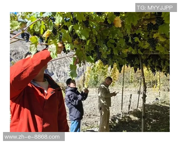 八宿队足球球星合影展示团结与奋进精神彰显球员风采与团队合作精神 八宿队足球球星合影展示团结与奋进精神彰显球员风采与团队合作精神